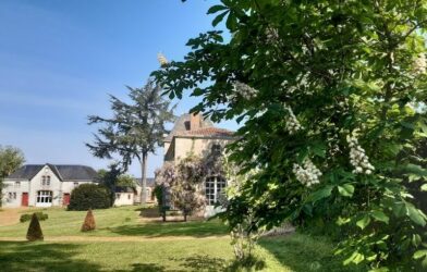 Le Musée du Bois Tiffrais fêtera ses 80 ans le 13 juillet 2025