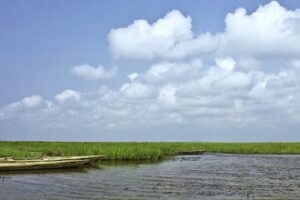 COP30 – pauvreté et crise écologique