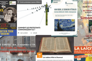 Sortir en novembre 2025