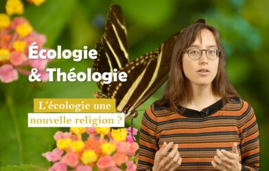 Écologie & Théologie #4/6 :  L’écologie une nouvelle religion ?