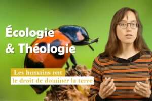 Idée reçue n°5 : Les humains ont le droit de dominer la terre ?