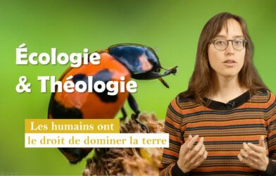 Idée reçue n°5 : Les humains ont le droit de dominer la terre ?