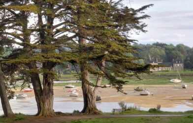 Se ressourcer et méditer entre mer et rivière, à l&rsquo;île Blanche
