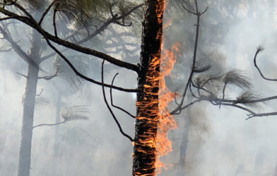 Mon verset préféré : « Devant lui est un feu dévorant », « L&rsquo;étang de feu »
